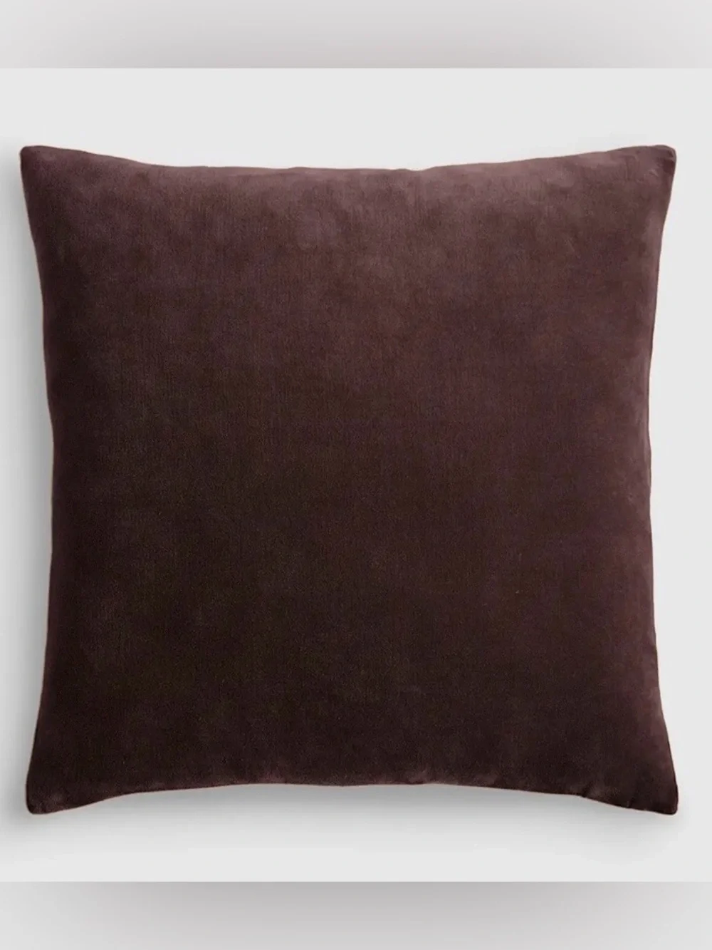 NWOT Quince Classic Cotton Velvet Pillow Cover, 20 X 20 (Espresso)